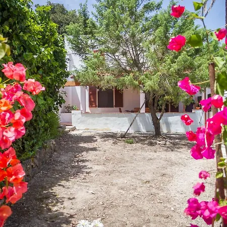 Bed & Breakfast Pimpioxelli Tonnare